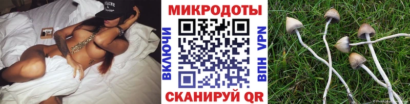 Псилоцибиновые грибы Magic Shrooms  omg как войти  Сурск 